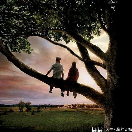 电影怦然心动在线观看,青春心跳的甜蜜旋律 第1张 电影怦然心动在线观看,青春心跳的甜蜜旋律 第1张